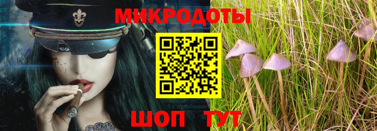 Черногорск  Псилоцибиновые грибы мицелий  Вход с VPN 