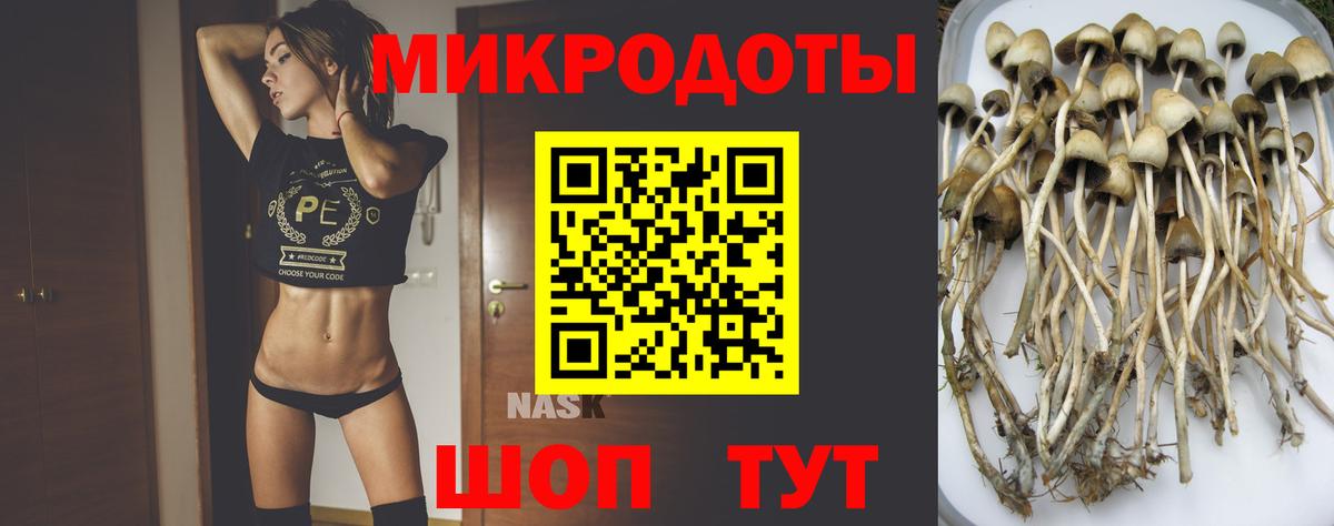 Галлюциногенные грибы Cubensis Черногорск